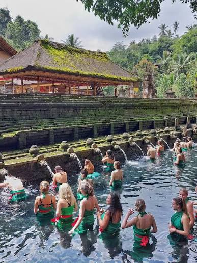 Tirta Empul Holywater, Penglipuran & Waterfall Tibumana, Private Driver Tour